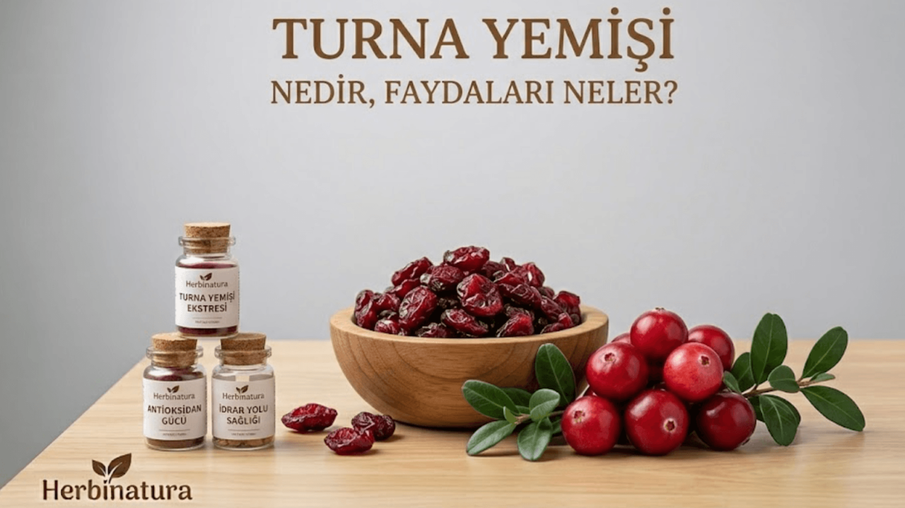 Ginkgo Biloba Nedir, Faydaları Neler?