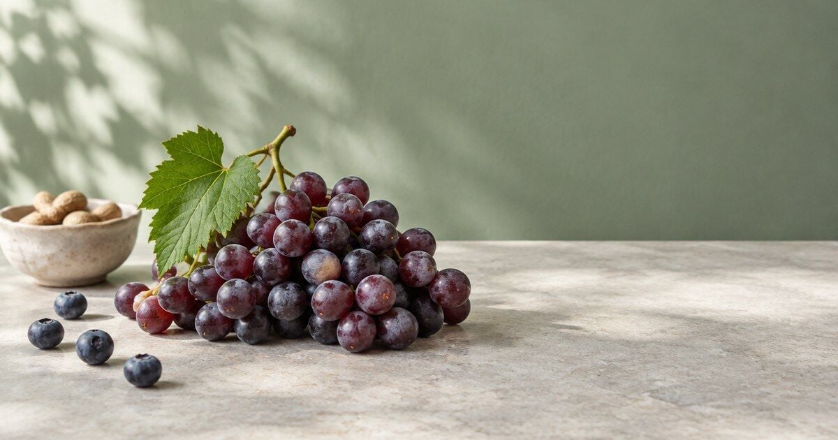 Resveratrol: Kaynağı, Biçimleri ve Günlük Sınırı