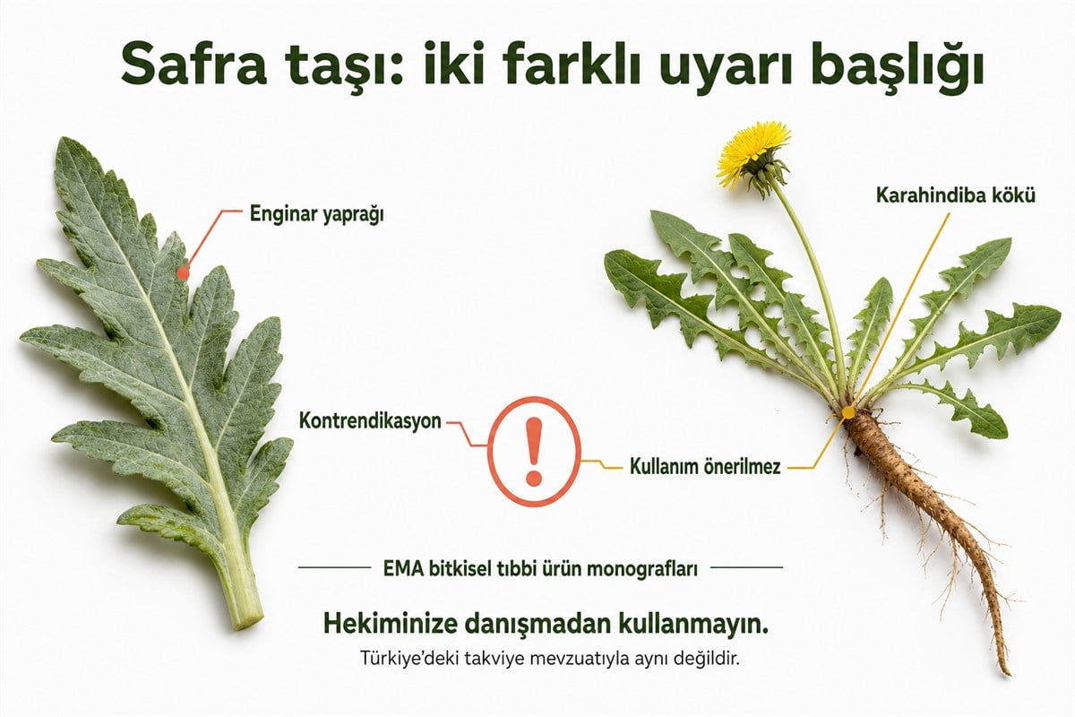 Enginar yaprağı ve karahindiba kökü için EMA monograflarındaki iki uyarı kategorisi