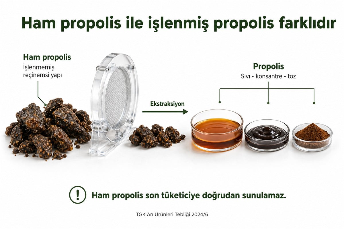 Ham propolisten ekstraksiyonla sıvı, konsantre ve toz propolis elde edilmesinin şematik anlatımı