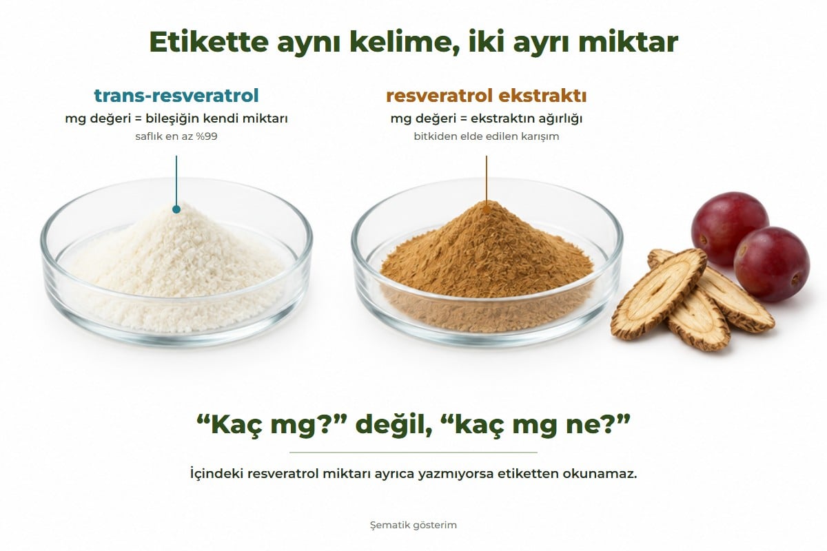 Yan yana iki cam kapta beyaz kristal toz ve kahverengi ekstrakt tozu, yanında kurutulmuş kök dilimleri ve iki üzüm tanesi; üstlerinde trans-resveratrol ve resveratrol ekstraktı yazıları